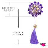 Purple Beaded Pasties with Detachable Tassels / Burlesque Nipple Covers / Fancy Decorative Nipple Pasties #30313